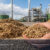 Biomass Supplier Jakarta